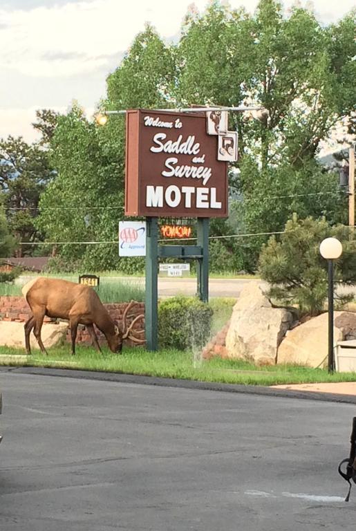 Saddle & Surrey Motel Estes Park Ngoại thất bức ảnh